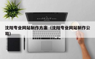 西双版纳沈阳专业网站制作方案（沈阳专业网站制作公司）